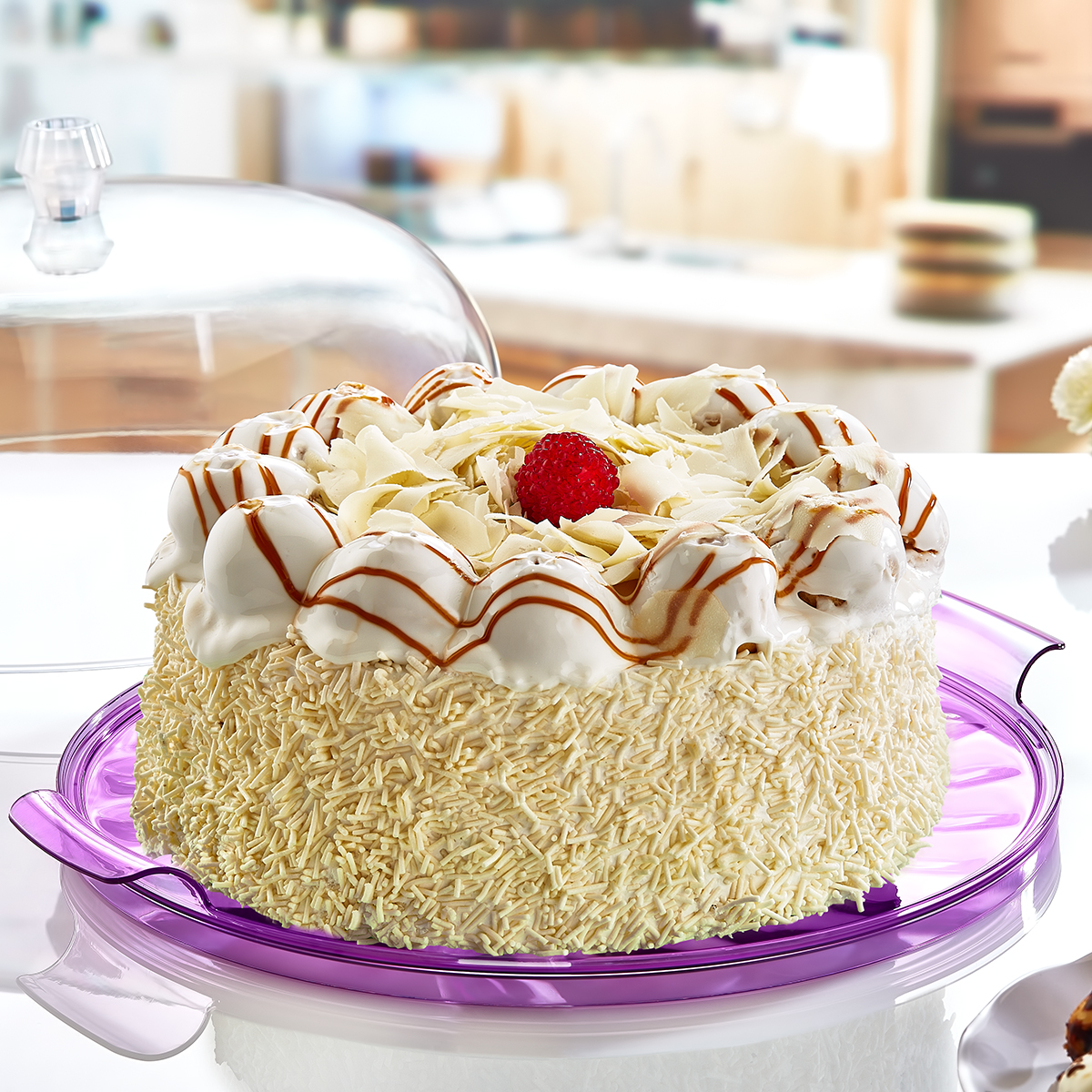 CAKE STORAGE CONTAINERS